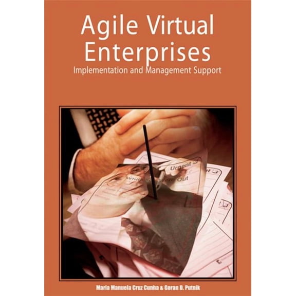 Agile Virtual Enterprises: Implementation and Management Support, (Hardcover)