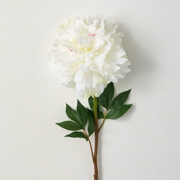 34"H Sullivans Soft Cream White Peony, Cream