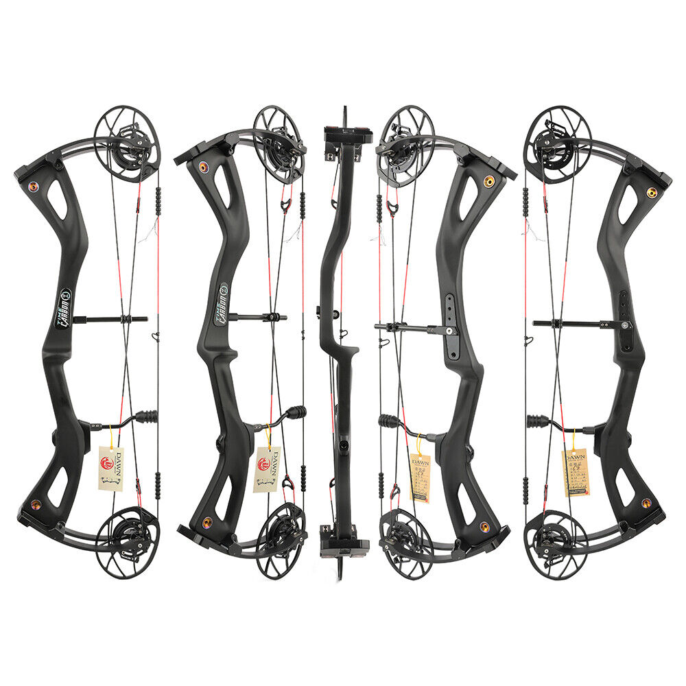 AME 29 Inch Carbon Fiber Compound Bow 0-70lbs Adjustable 345FPS Adult Hunting Target Archery