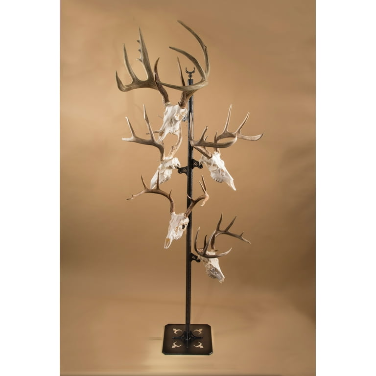 European 2024 skull mounts