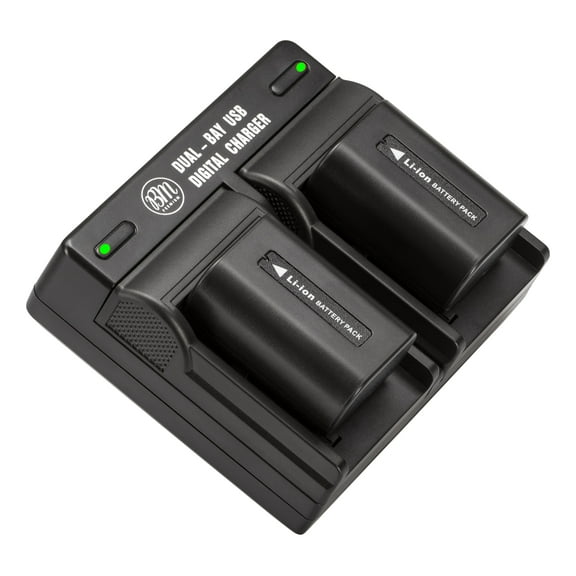 BM Premium 2 Pack of NP-FV50A High Capacity Batteries and Dual Bay Battery Charger for Sony Handycam Camcorders