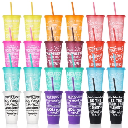sixwipe 24 Pcs Appreciation Tumblers Gifts Bulk, 24 oz Employee Thank You Cup with Lids and Straws, Reusable Party Favor Cups for Coworker Team Staff Teacher Employee Volunteer Gift