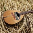 thumbnail image 4 of Shisuyan Mandolin Wooden Bridge Replacement Mandolin Bridge Music Instrument Accessory, 4 of 9