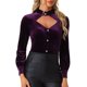 thumbnail image 1 of INSPIRAR CHIC Blusa de terciopelo de manga larga con cuello alto y volantes para mujer L Púrpura Ciruela, 1 of 6