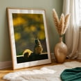 thumbnail image 5 of Golden Hour Squirrel - Photography Wildlife Nature Autumn Woodland Animal Scenic Oak Framed Wall Art Print 16 x 24 inches, 5 of 59