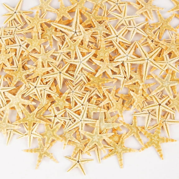 Sinkoo 100 Pcs Small Starfish for Crafts 0.4" to 1" Natural Color Mini Star Fish Bulk, Mini Seashell for Wedding Coastal Nautical and Beach Theme Decor Tiny Sea Shell Crafts Starfish Decor