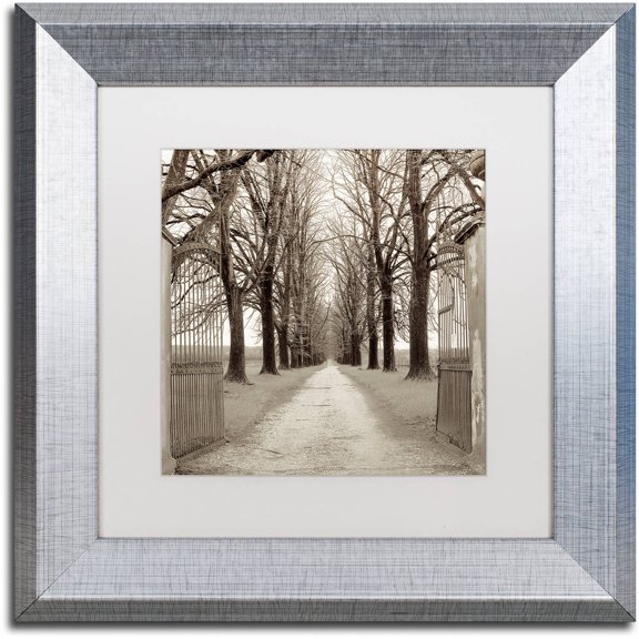 Trademark Fine Art "Veneto Giardini I" Canvas Art by Alan Blaustein, White Matte, Silver Frame
