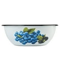 thumbnail image 3 of Novomoskovsjka Posuda Blueberry Enamel Serving Bowl Set of 2 pcs Shatterproof Enameled Steel Fruit and Salad Bowls for Cooking Enamel Mixing Bowl for Indoor and Outdoor Use Metal Bowls, White Blue, 3 of 6