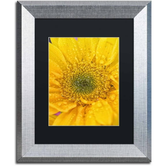 Trademark Fine Art 'Joyful Color' Canvas Art by PIPA Fine Art, Black Matte, Silver Frame