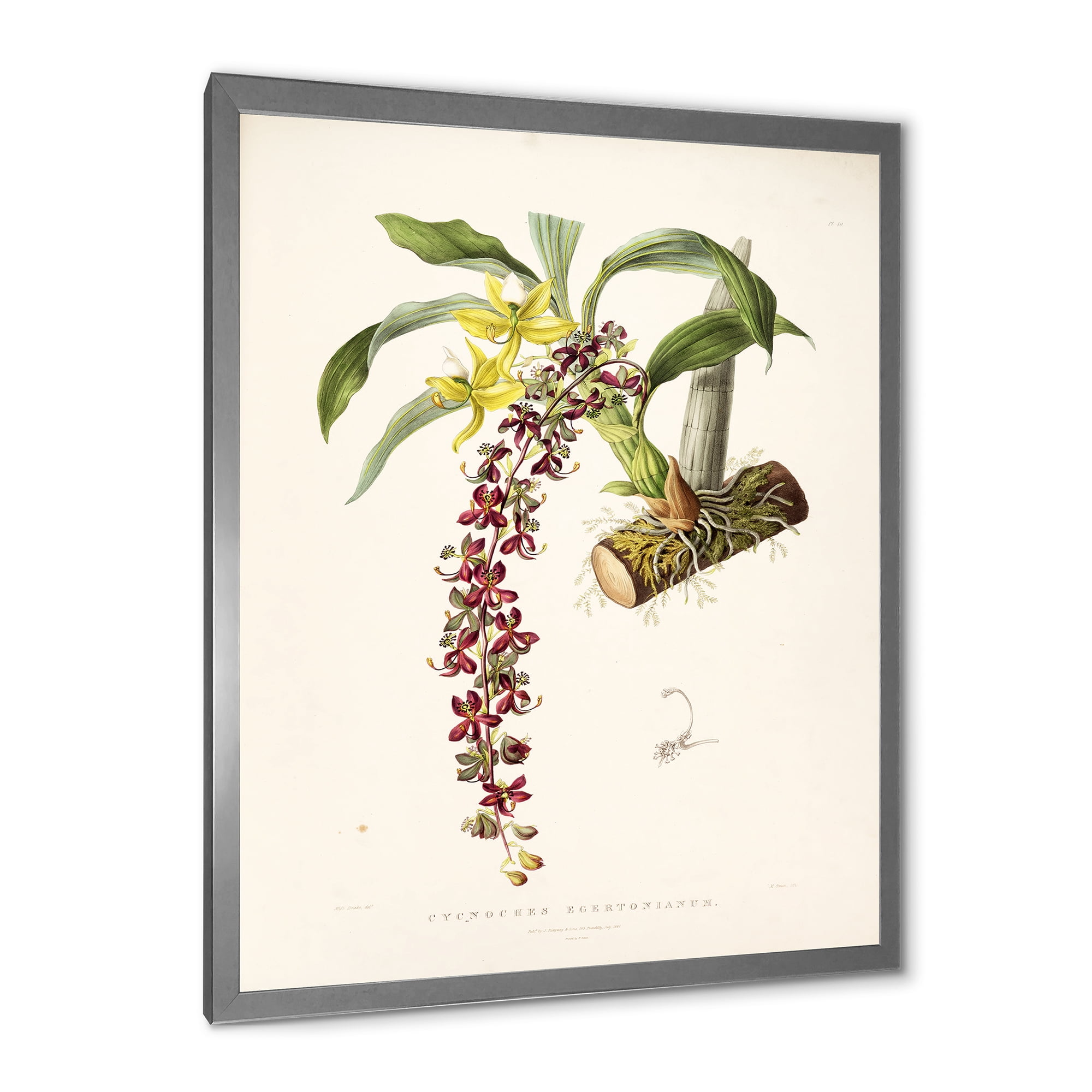 Designart 'Ancient Flower II' Traditional Framed Art Print