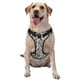 thumbnail image 1 of Fotbe Leopard And Zebra Arnés para Perro con Estampado –Chaleco Ajustable Acolchado con Asa de Control para Perros Grandes-Medium, 1 of 6