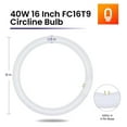 thumbnail image 2 of FC16T9 40 Watt Circline Fluorescent Bulb Replacement 16 Inches - T9 Bulb with 4-Pin Base (G10Q-4) - 4100K Cool White - 1 Pack, 2 of 7