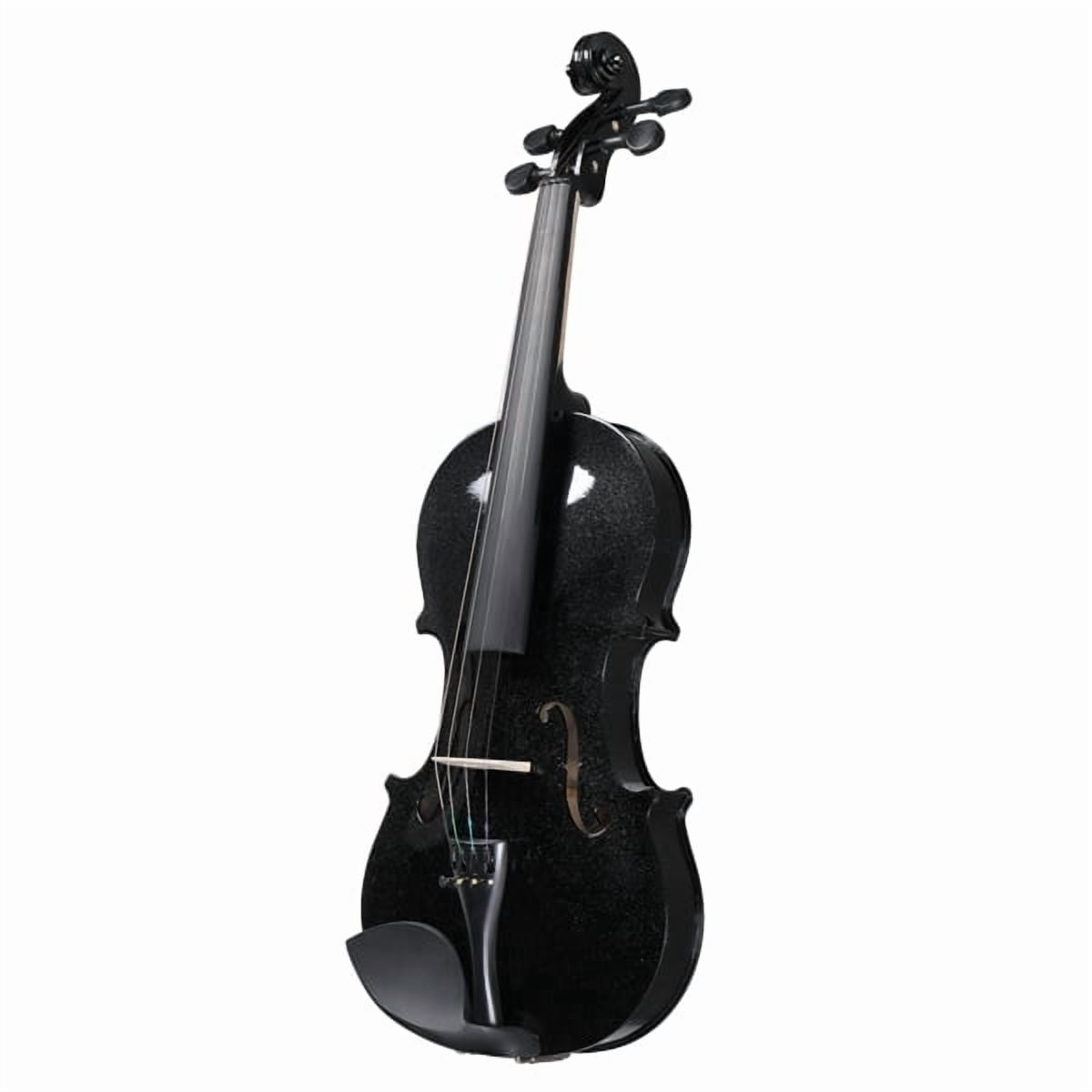 Alvantor 4/4 Acoustic Violin Set for Adults, Students and Beginners with Case, Bow and Rosin, Black