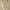 Khaki, variant on Men Sweatpants Clearance Gym Warm and Breathable Sweats for Men Straight Casual Elegance Mens Pants Walmart Plus Membership Deals