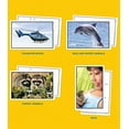 thumbnail image 4 of Early Learning Language Library Cards, 4 of 5