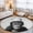 Black, variant on Chef Chimpanzee Washable Area Rug 2 x 3 ft Animal Pink Background Soft Non Slip Rugs Stain Repellent Indoor Felt Carpet for Living Dining Room Bedroom Home Office