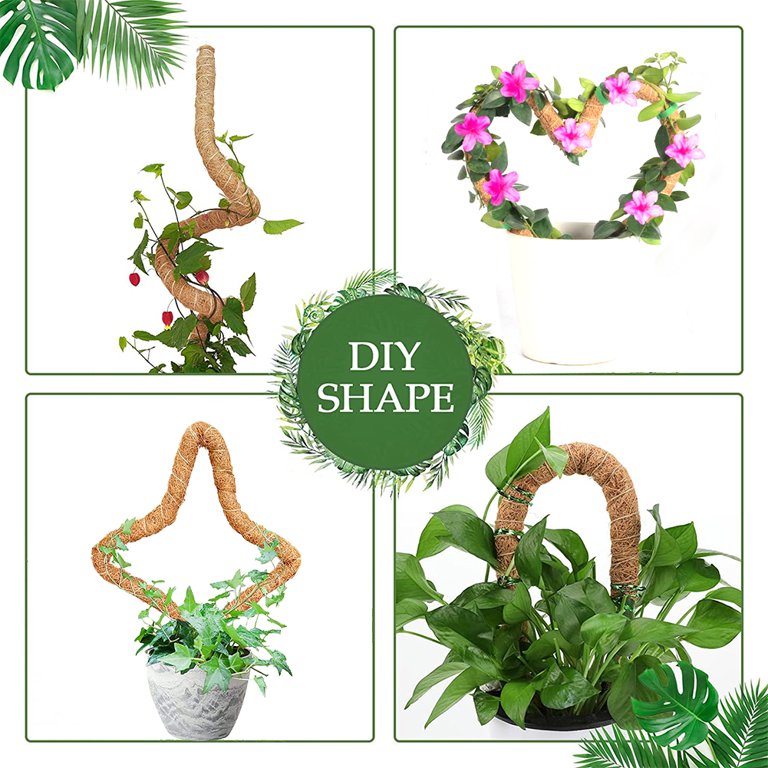 DSstyles 2 Pcs 25 Inches Bendable Moss Pole for Indoor Gardening, Climbing  Plant Support Stakes - Walmart.com