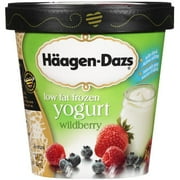 Dreyers Haagen Dazs Frozen Yogurt, 14 oz