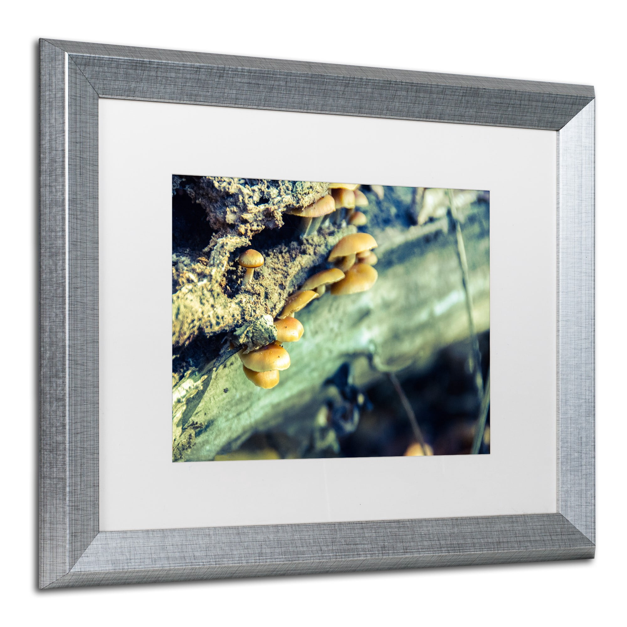 Trademark Fine Art 'Aged Mushroom' Canvas Art by PIPA Fine Art, White Matte, Silver Frame