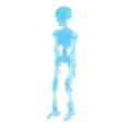 thumbnail image 2 of Modelo de de plástico de cuerpo completo para hombre de Azul eléctrico Colcomx Halloween Skeleton Man, 2 of 8