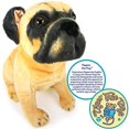 thumbnail image 3 of VIAHART Pippen The Pug - 13 Inch Large Dog Stuffed Animal Plush Dog - by Tiger Tale Toys, 3 of 5