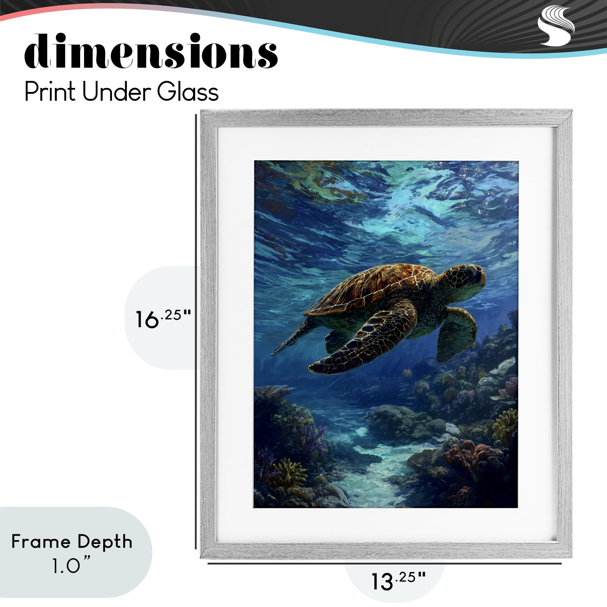 Stupell Industries Oceanic Adventurer Tortoise Gray Framed Print Under Glass, design by Franklyn Gregory