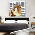 thumbnail image 2 of ARTCANVAS Ragamuffin Cat Breed Canvas Art Print - Size: 36" x 36" (1.50" Deep), 2 of 9