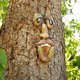 thumbnail image 3 of Tree Face,Decoration for Tree Trunk,Yard Decor art decorations whimsical tree face sculpture, 3 of 5