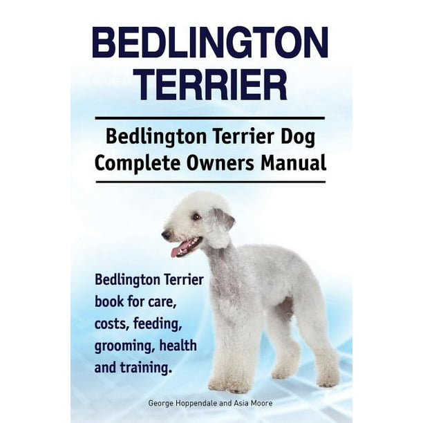 how much are bedlington terrier puppies