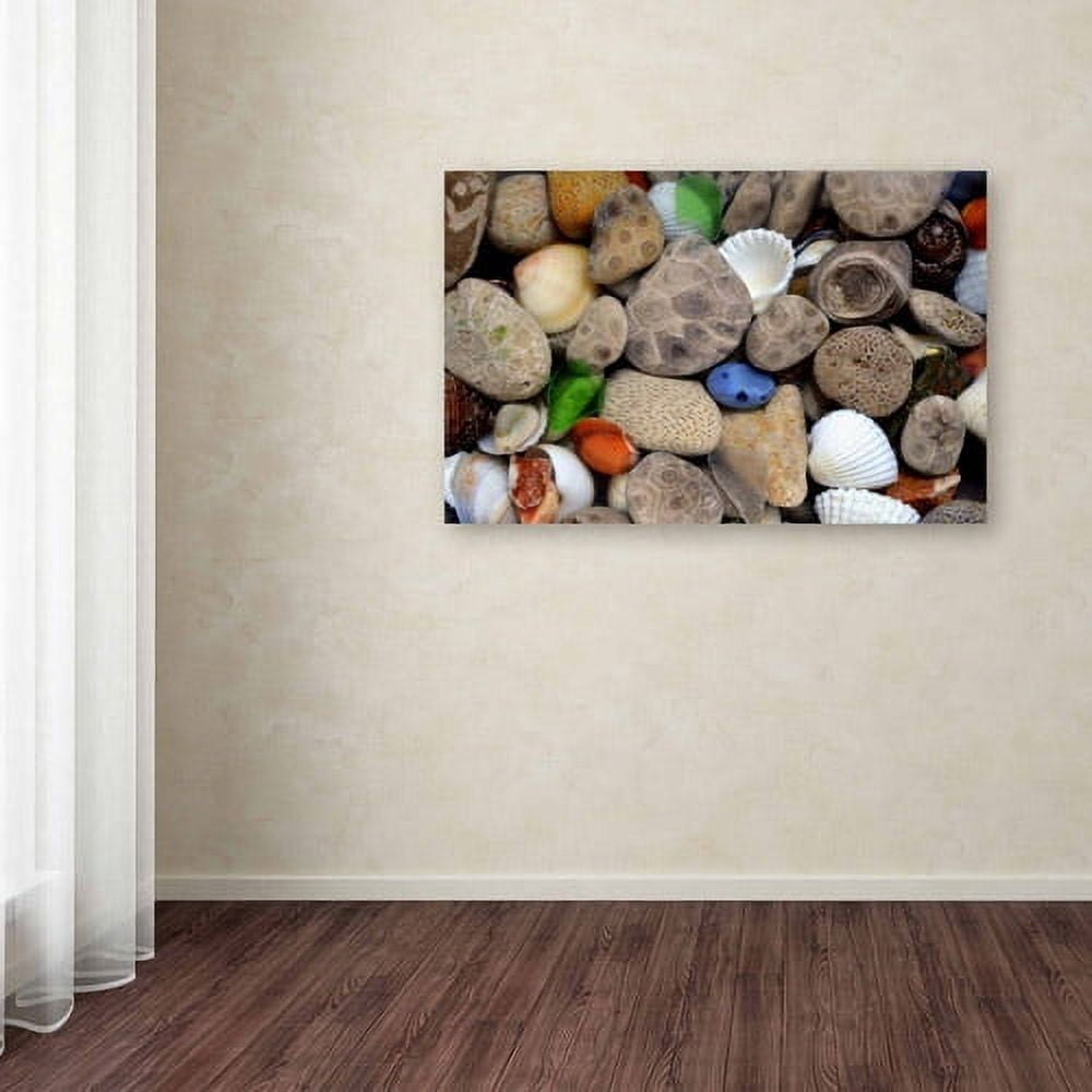 Trademark Fine Art "PetoskeyStones lll" Canvas Art by Michelle Calkins