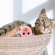 thumbnail image 2 of KAKOWELY 5 juguetes de peluche para gatos y ratones con forma de gatito, con cascabel., 2 of 5