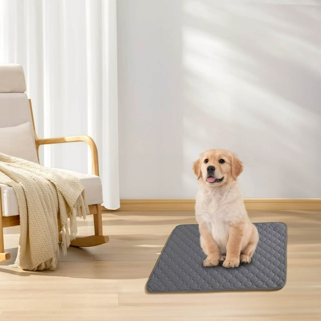 Tapis d'Urine pour Animaux Épaissi pour la Désodorisation et l'Absorption Instantanée de l'Eau, Lavable et Facile à Sécher, Tapis d'Urine Réutilisable pour Chien et Tapis d'Urine