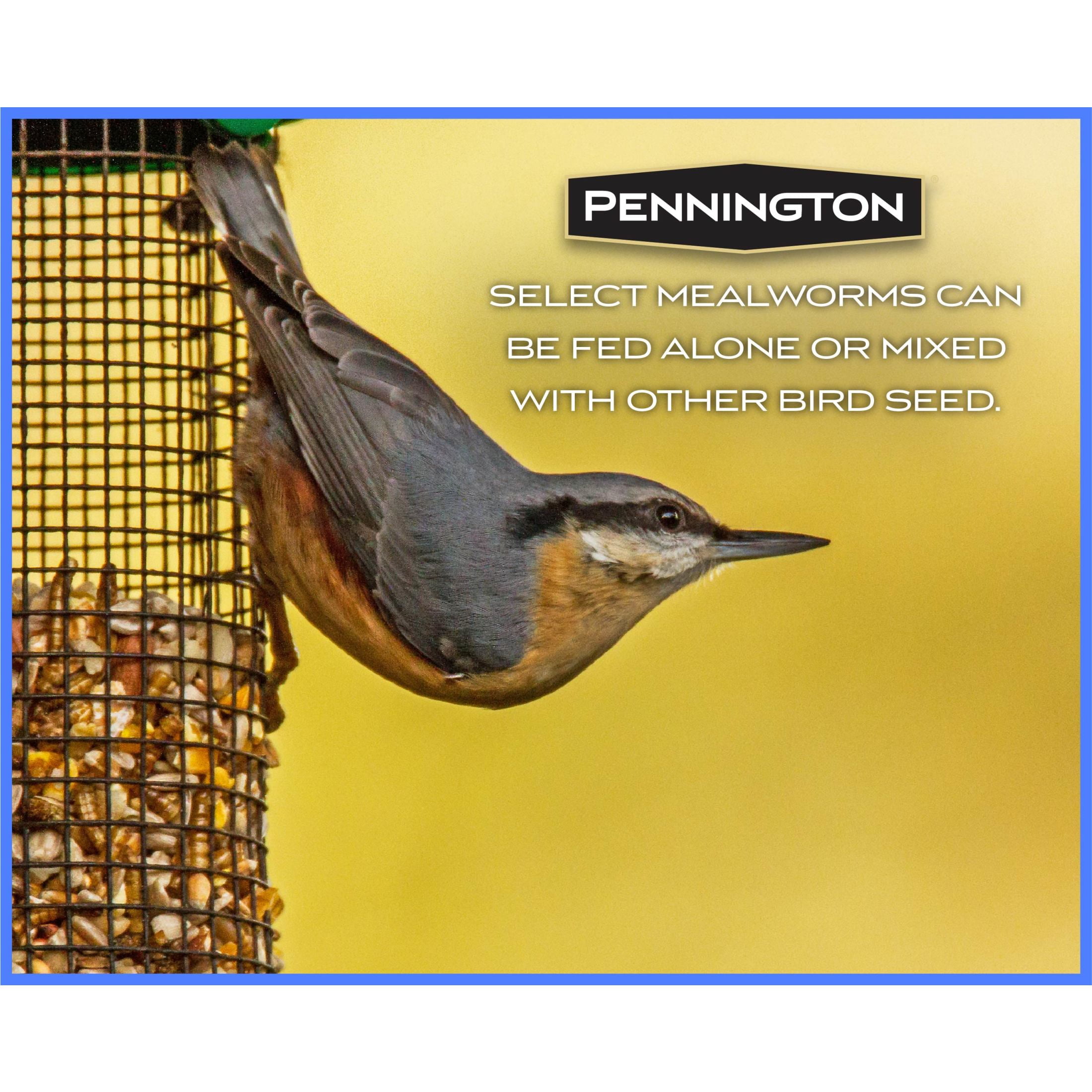 Pennington Select Mealworms, Bluebird and Wild Bird Food, 5 lb. Bag, 1 Pack, Dry