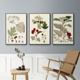 thumbnail image 5 of Leaves & Berries I - Framed Premium Gallery Wrapped Canvas L Frame 3 Piece Set - Ready to Hang, 5 of 9