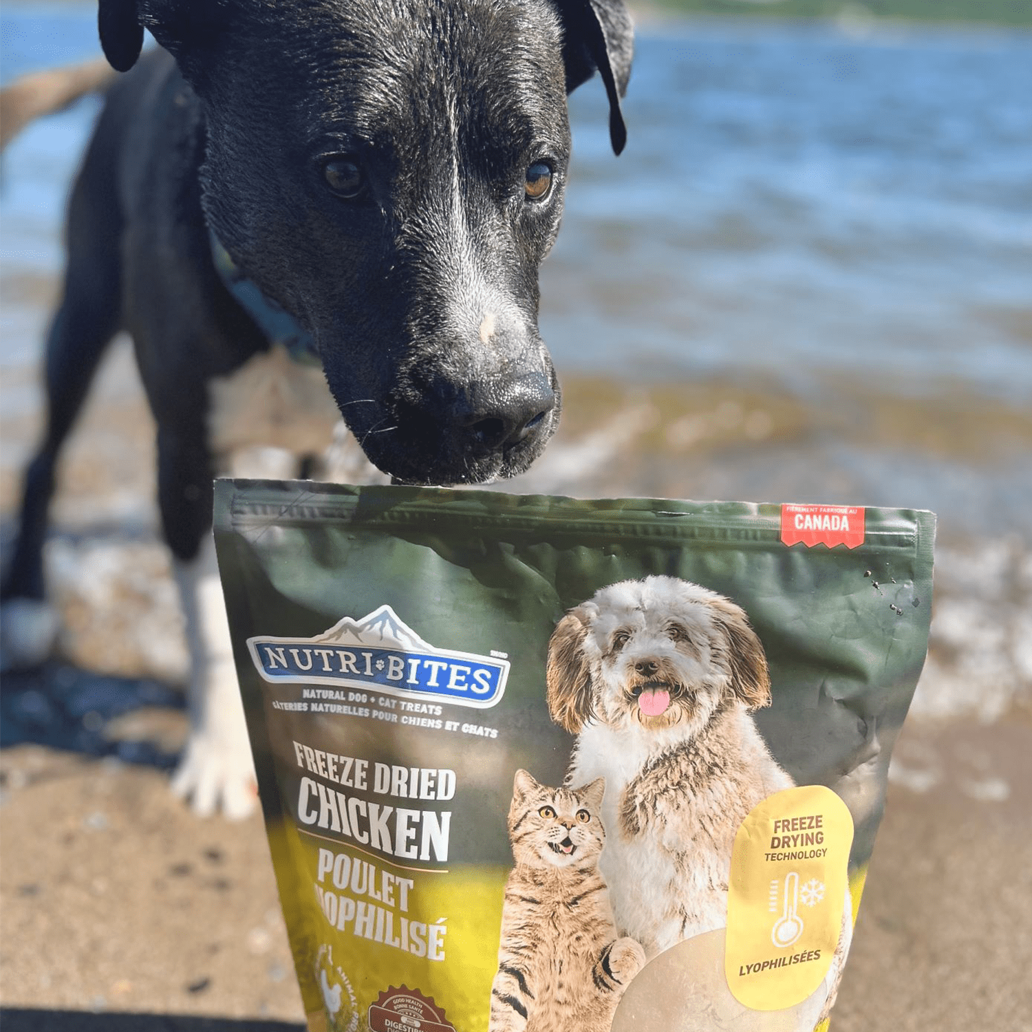 Canature NutriBites Freeze Dried Chicken Dog and Cat Treat 22 Ounce