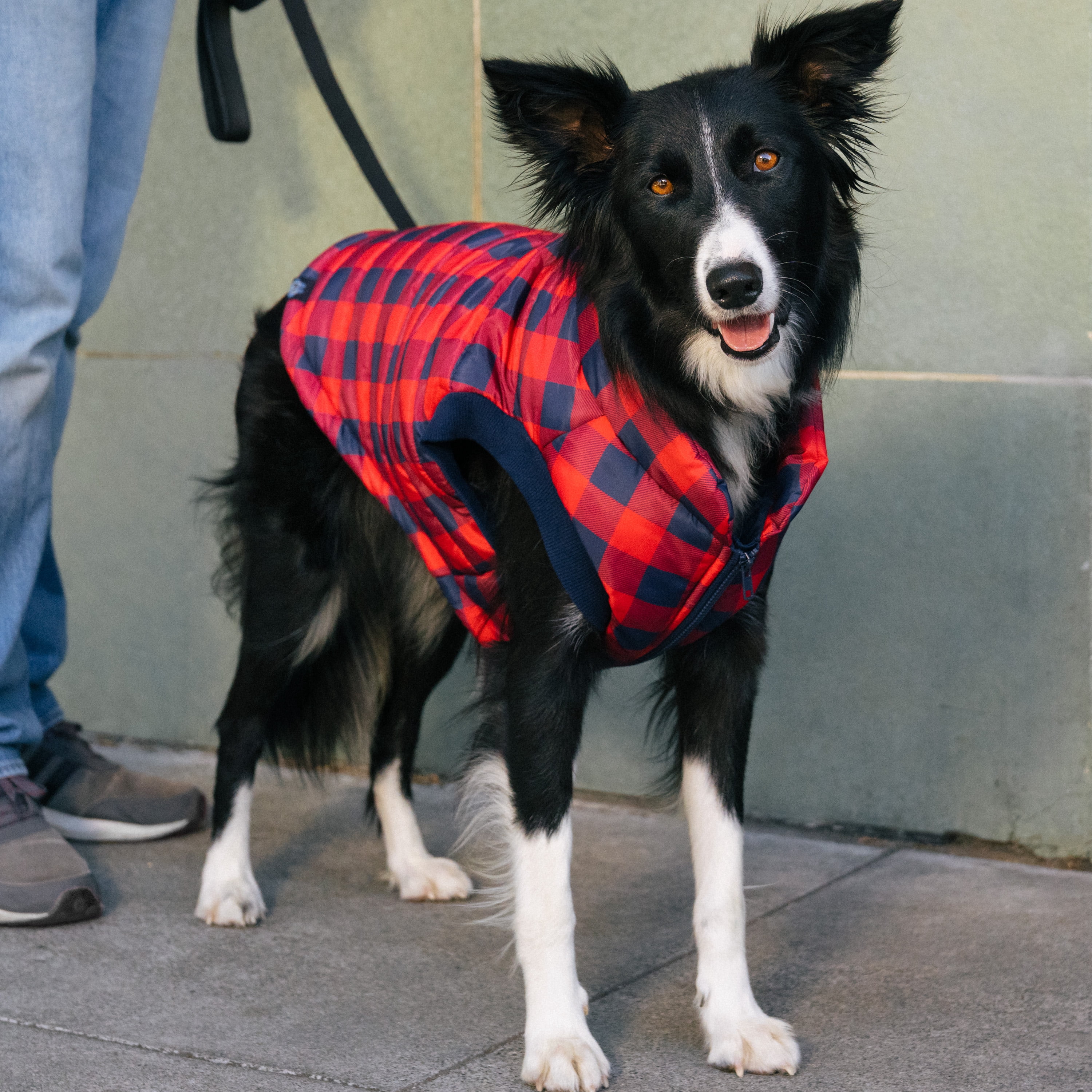 Gap Pet, Dog Clothes, Red Buffalo Plaid Pet Jacket