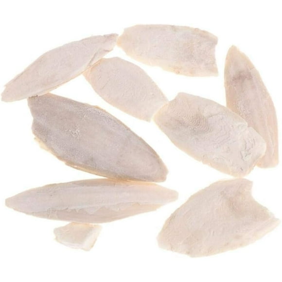Zonster 1 Bag Cuttlebone Cuttlefish Sepia Bone Cuttle Fish Bird Food Calcium Pickstone Parrot Birds Teeth Grind Training