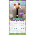 thumbnail image 4 of Avanti Livin' the Dream OFFICIAL | 2026 12x24" (Hanging) Wall Calendar | Plastic-Free, 4 of 9