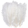 thumbnail image 2 of AWAYTR Plumas de avestruz naturales de 10 a 12 pulgadas (25 a 30 cm) para centros de mesa de boda, decoración del hogar, arreglos florales, decoraciones navideñas de bricolaje (10 unidades, blanco), 2 of 4