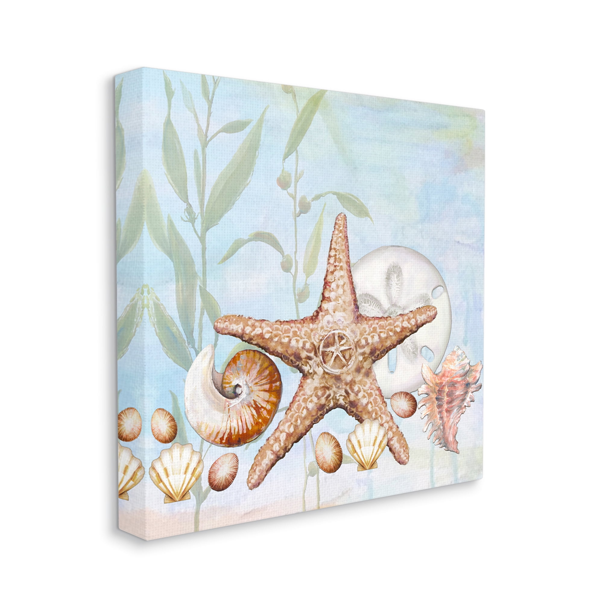 Stupell Industries Starfish Seashells Underwater Plants Ocean Beach Painting Canvas Wall Art, 36 x 36, Design by Diannart