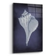 thumbnail image 2 of Epic Art 'Blue Seashell II' by Cindy Jacobs, Acrylic Glass Wall Art, 16"x24", 2 of 8
