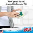 thumbnail image 2 of LOLA Cellulose Sponge & Scourer, 144 Pack, Heavy Duty, Dual Purpose Super Absorbent Dish Cleaning Scrubber, 2 of 7