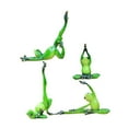 thumbnail image 4 of Figuras de Rana de Yoga BLESIY 4 Piezas Estatua de Animal Resina 13 cm x 10,2 cm 16 cm x 16 cm 20,5 cm x 12 cm 11 cm x 7 cm x 19 cm, 4 of 8