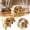 A, variant on Decorland Robotic Puppy Interactive Lifelike Moving Barking 1-Pack