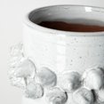 thumbnail image 6 of 11" Organic Style Whitewash Spikely Ceramic Vase, 6 of 6