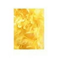 thumbnail image 3 of Luau Ducky Shaped Baseball Cap (12 Pc) - Apparel Accessories - 12 Pieces, 3 of 5