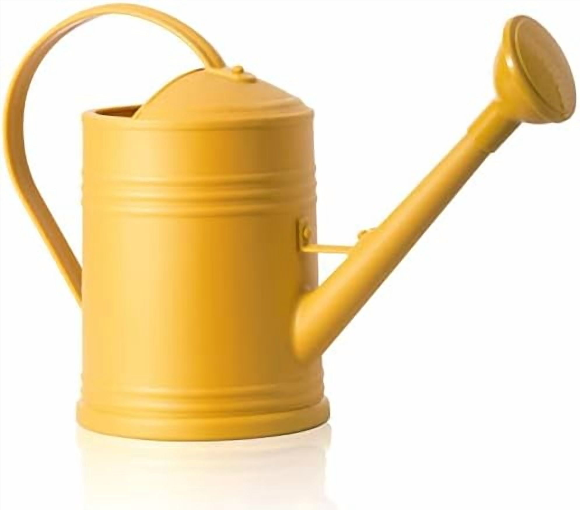 Plastic Indoor Watering Can with Detachable Sprinkler Head - 68oz (1/2 Gallon) for House Plants and Flowers