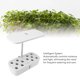 thumbnail image 3 of Jardinera Hidrofónica Inteligente, Cultivador Hidropónico Con Luz LED Para El Hogar, 3 of 7