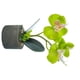 thumbnail image 3 of Orquídea artificial Flor y maceta Simulación Flor en maceta Mesa de oficina en casa Decoración floral falsa, JH1735, Verde Methold HA7712-03B, 3 of 6