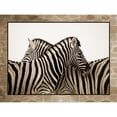 thumbnail image 3 of Phillip, Jamie 18x15 Black Modern Framed Museum Art Print Titled - Zebras, 3 of 5